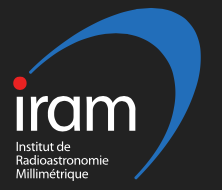 logo IRAM